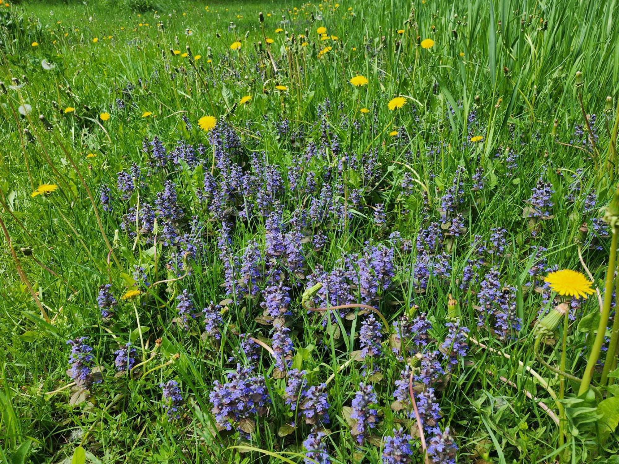 Chalets Nabu La Sacacomie - Riviere - Billard Saint-Alexis-des-Monts Esterno foto